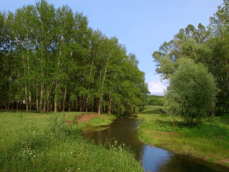 Summer landscape with river