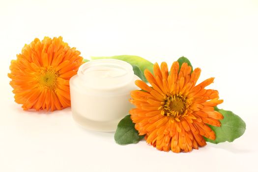 marigold salve with Calendula flowers and leaves on a light background