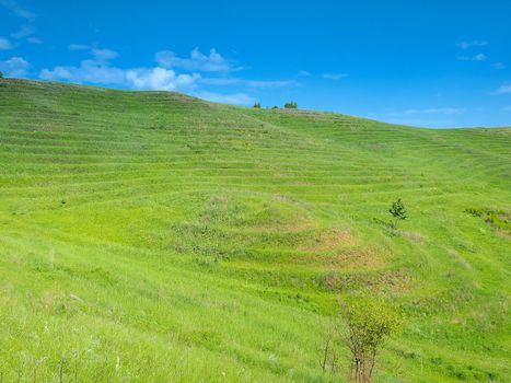 Summer landscape with green field and blue sky