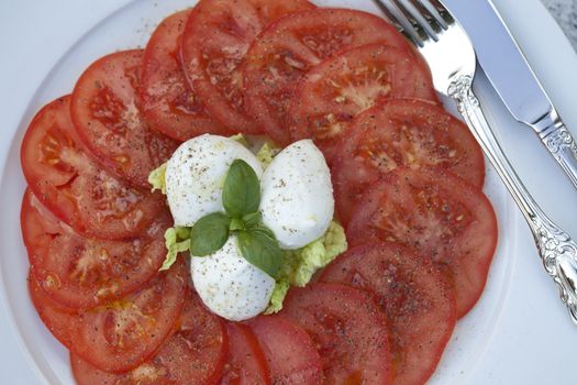 Tomato Salad with Buffalo Mozzarella Cheese and Basil