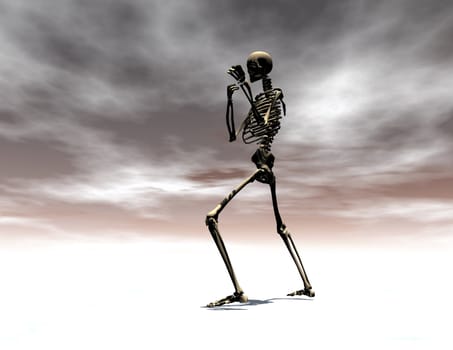 Digital visualization of a skeleton