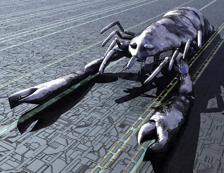Digital visualization of a lobster