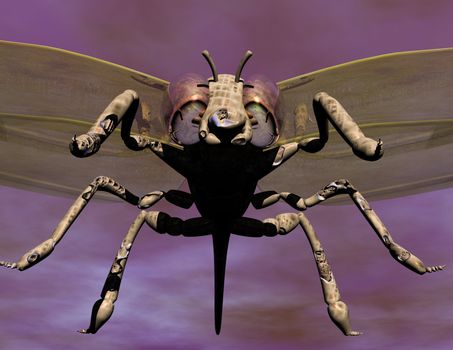Digital visualization of a lobster