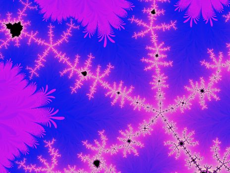 Digital visualization of a fractal