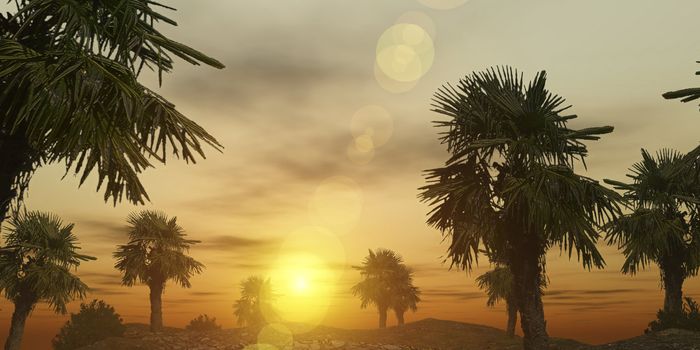 3d rendering / palm trees in sunset