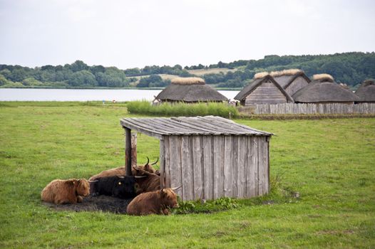 Hedeby, Reconstruction of a viking village