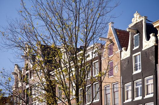 scene in the old town of amsterdam, netherlands