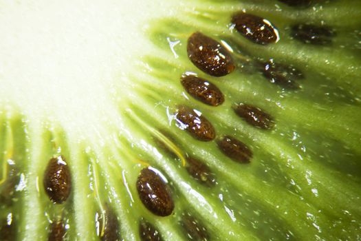 Close up of a kiwi fruit