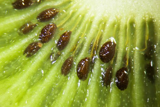 Close up of a kiwi fruit