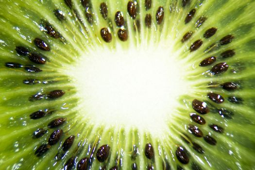 Close up of a kiwi fruit