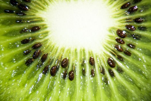 Close up of a kiwi fruit