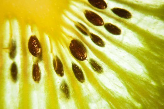 Close up of a kiwi fruit