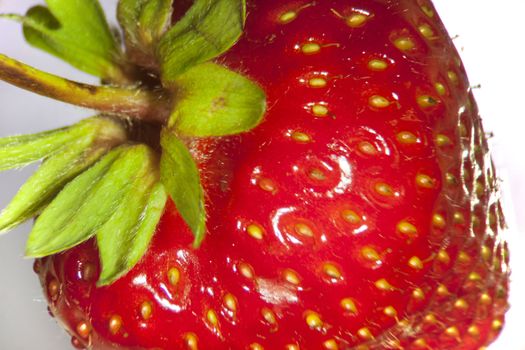Close up of a strawberry