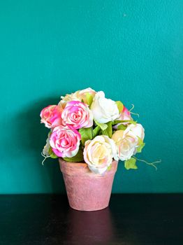 rose in flowerpot for decoration 