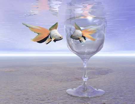 digital composition of fishes