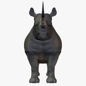 digital rendering of a rhino