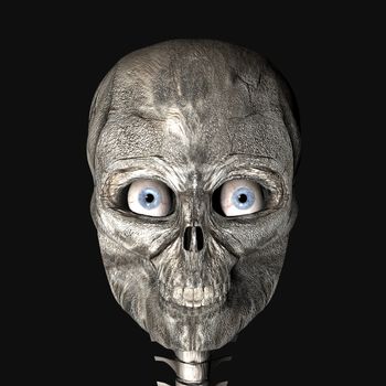 digital rendering of a skull