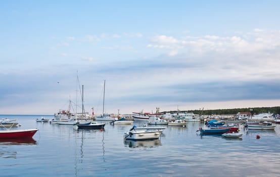 Seascape. Morning. Fazana, Croatia