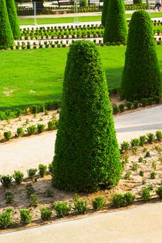 Saved natural parks in Europe trees and statues. Madrid