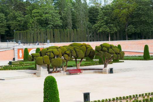 Saved natural parks in Europe trees and statues. Madrid