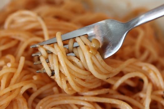 Fork with pasta close up