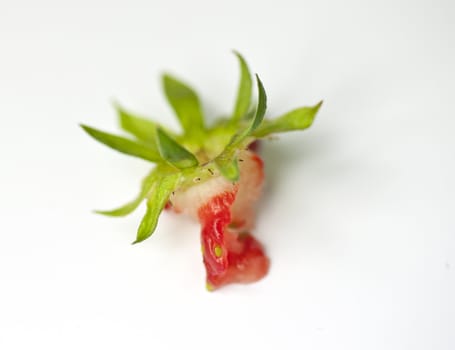 Closeup of what once were a delicious and tasteful strawberry