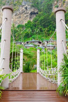 Rope walkway through the treetops in a rain forest