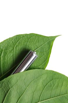 Recycling concept. Ordinary battery between two green leaves. Isolated on white with clipping path