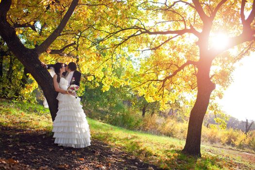 tenderness of the bride and groom  in autumn park