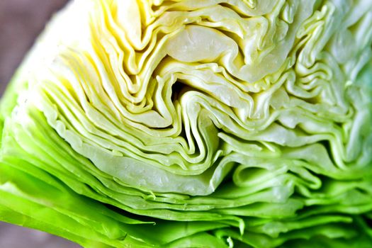 Cutout of a fresh big cabbage