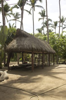 a tropical picnic area with a thatched roof.