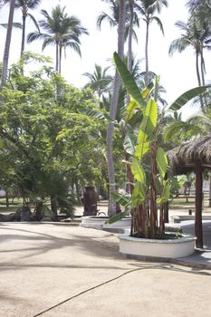 a tropical picnic area with a thatched roof.