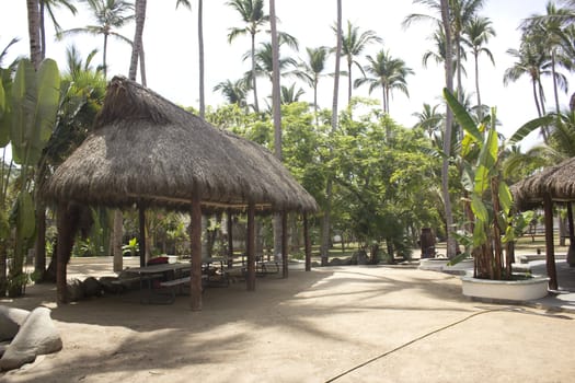 a tropical picnic area with a thatched roof.