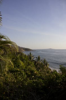 ocean view from the top of the jungle