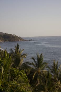 ocean view from the top of the jungle