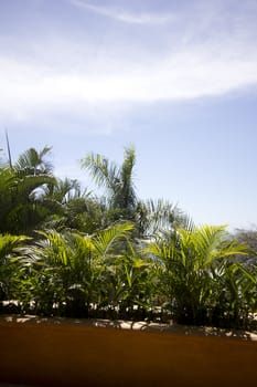 ocean view from the top of the jungle