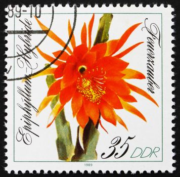 GDR - CIRCA 1989: a stamp printed in GDR shows Feuerzauber, Epiphyllum, Flowering Cacti, circa 1989