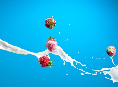 milk splash with red ripe strawberry over blue background