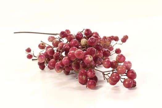 twig of fresh red dried pepper on a light background