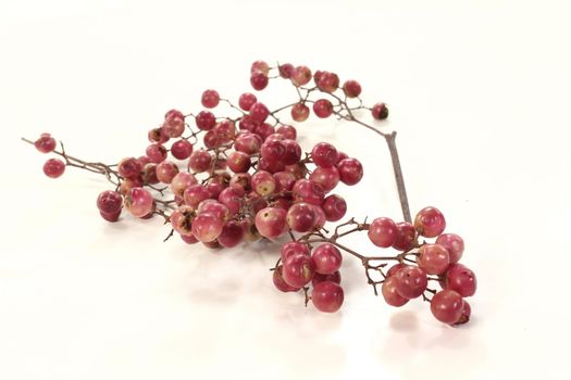 fresh red dried pepper on a twig on a bright background