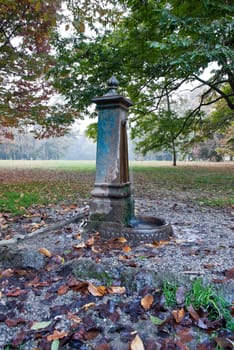 public park with a fountain and lush nature