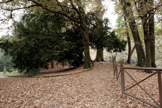 public park with a trees and lush nature in Italy