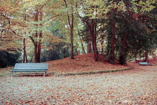 public park with a trees and lush nature in Italy