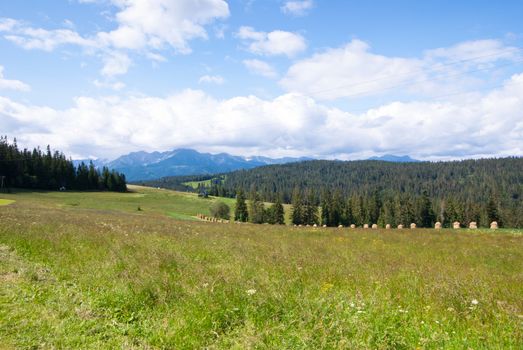 mountain landscape with trees in southern Poland