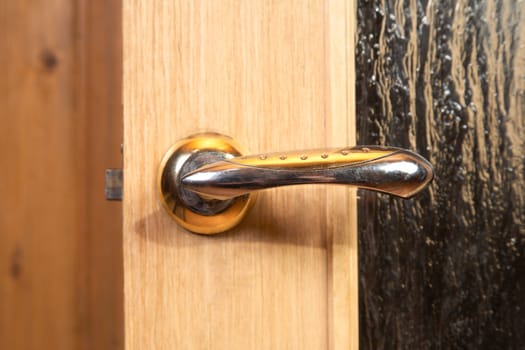 metallic door handle on wooden doors