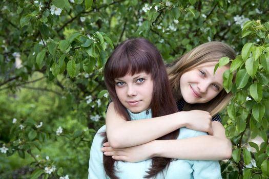 Two girls of the teenager against a blossoming pear in  spring afternoon