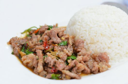 rice and   pork fried with chili pepper and  sweet basil
