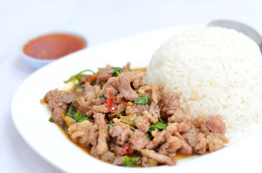 rice and   pork fried with chili pepper and  sweet basil served with spicy sauce