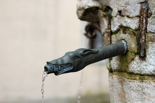 detail of an ancient fountain in Belluno