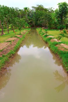 Rural landscape with ditch and mango trees.